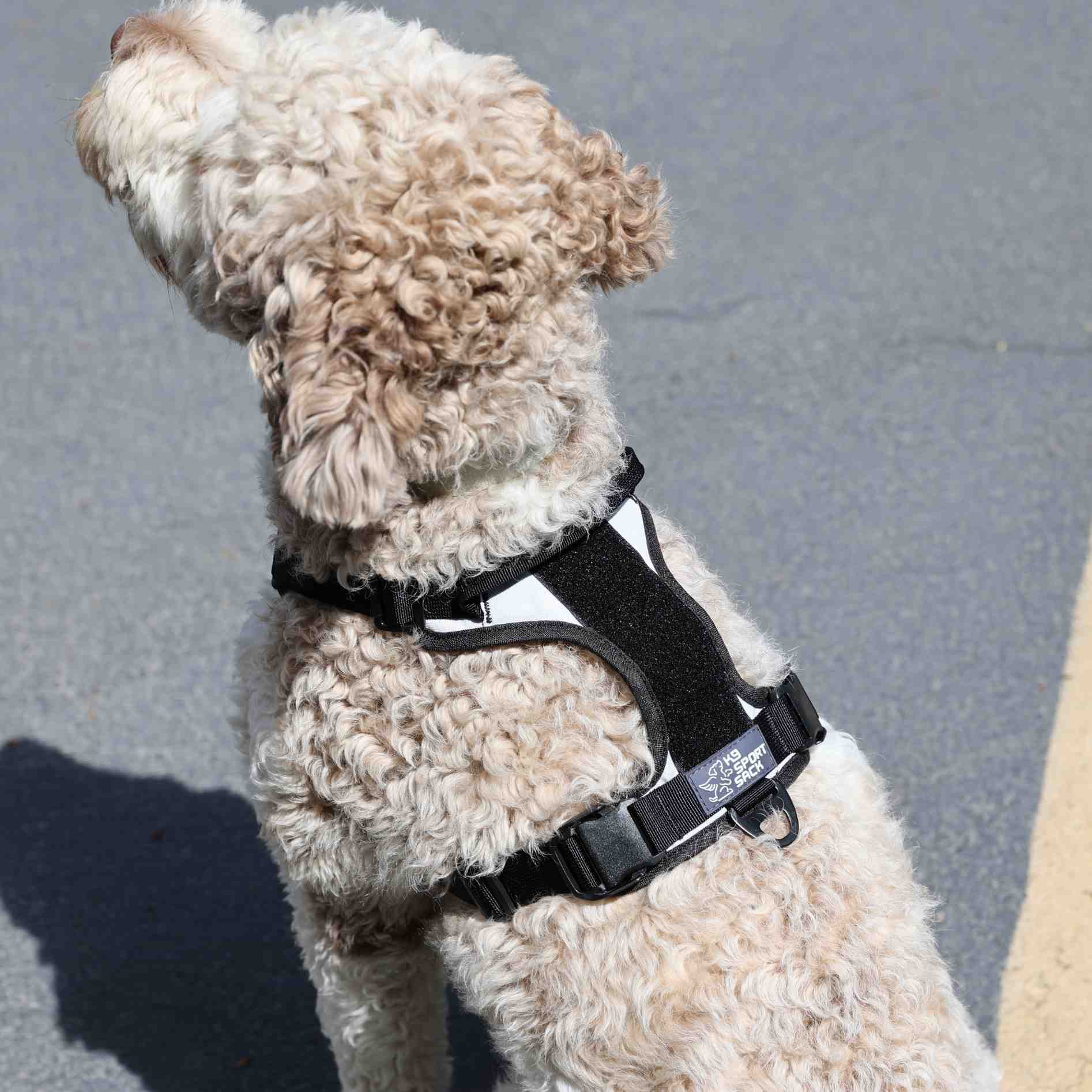 K9 Sport Sack® Hondentuig Lunar Rock