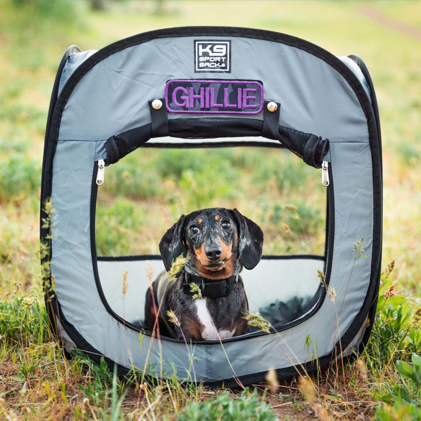 K9 Sport Sack® Popup Tent Grijs